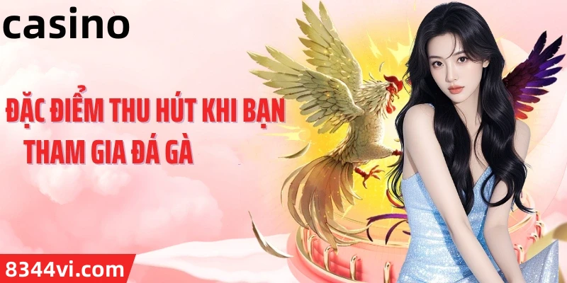 Hình ảnh quảng cáo của vb9 hiển thị nền tảng và các lợi ích